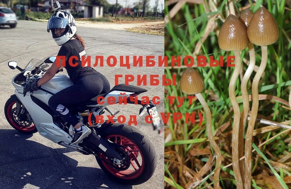 твердый Кулебаки