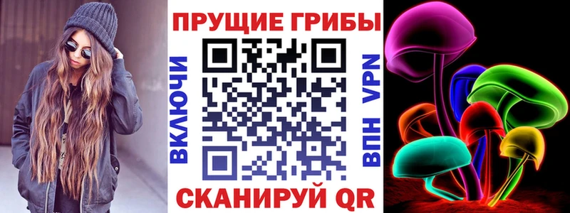 Купить закладки  Почеп  Псилоцибиновые грибы Psilocybe 